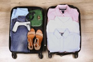 Parownica do ubrań Transa Electronics Parownica do ubrań Steammy White 2000W 9