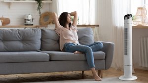 Wentylator Transa Electronics Wentylator kolumnowy WhiteFan 15