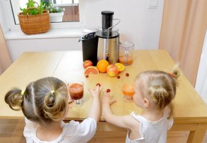 Sokowirówka Transa Electronics Sokowirówka Fresh Juice 1400W 2