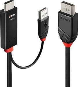 Kabel Lindy LINDY HDMI an DisplayPort Adapterkabel 2m 1