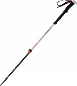 Black Diamond Kije Skitourowe Black Diamond Expedition 2 Ski Poles 155 cm 2