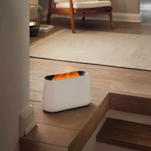 Nawilżacz powietrza Stadler Form Ben Biały 20