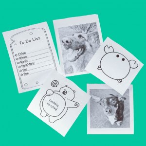 Rolki papier wkład termiczny do mini drukarki 5,7cmx4,5m 5 sztuk 6