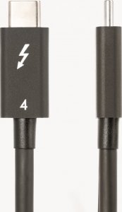 Kabel USB StarTech Thunderbolt - Thunderbolt 1 m Czarny (TBLT4MM1M) 2