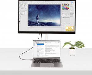 Kabel USB StarTech Thunderbolt - Thunderbolt 1 m Czarny (TBLT4MM1M) 5