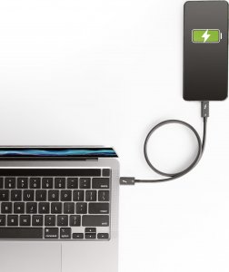 Kabel USB StarTech Thunderbolt - Thunderbolt 0.5 m Czarny (TBLT4MM50CM) 7