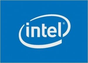 Intel Intel 2U Switch cable SFF-8611(875mm) 2