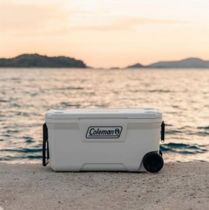 Lodówka turystyczna Coleman 100QT Marine 94 l 8