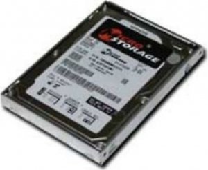 Dysk serwerowy CoreParts 250GB 2.5'' SATA II (3 Gb/s)  (IA250000I9S) 1