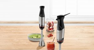 Blender Bosch MSM6M610 10