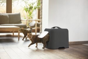Rotho Cappucino (R90753) 29
