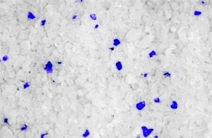 Żwirek dla kota Diamentiq DIAMENTIQ Neutral - żwirek neutralny - 30 l 3