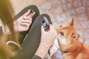 Słuchawki GoGEN Słuchawki bezprzewodowe GoGEN TWSBUDDIESW02 13