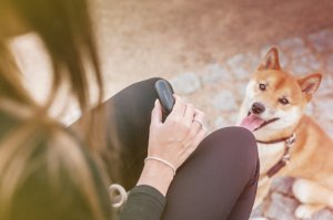 Słuchawki GoGEN Słuchawki bezprzewodowe GoGEN TWSBUDDIESW02 16