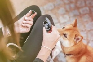 Słuchawki GoGEN Słuchawki bezprzewodowe GoGEN TWSBUDDIESW02 17