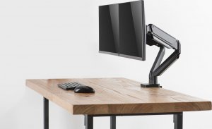 Deltaco Deltaco Monitora stativs Dual Gas Spring Deltaco 7