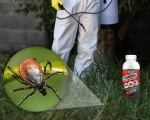 NO PEST Permetryna do Zwalczania Owadów 1L Oprysk Środek Preparat Płyn na Kleszcze Komary Muchy Osy Pluskwy Pająki i Inne Owady 7