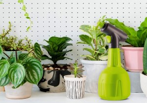 NO PEST Opryskiwacz Ręczny Elektryczny 1L Gardenblast Precision Automatyczny Spryskiwacz do Domu i Ogrodu 10