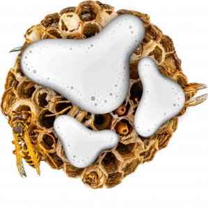 NO PEST Piana na Osy i Szerszenie 500ml Środek Aerozol Spray Preparat do Zwalczania Gniazd Os i Szerszeni Wasp Foam 11