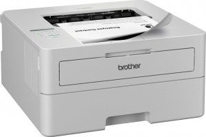 Drukarka laserowa Brother HL-L2865DW (HLL2865DWRE1) 3