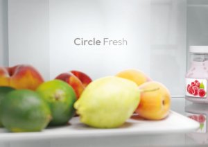 Lodówka Candy Chłodziarko-zamrażarka CNCQ2T618EW 13