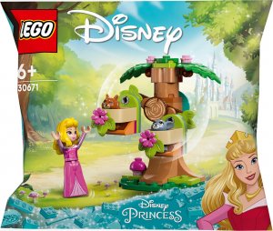 LEGO Disney Leśny plac zabaw Aurory (30671) 1