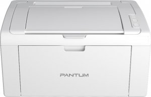 Urządzenie wielofunkcyjne Pantum Pantum P2509W drukarka laserowa 1200 x 1200 DPI A4 Wi-Fi 1