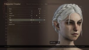 Gra wideo na PlayStation 5 Dragons Dogma 2 Standard Edition 28