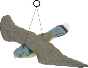 Springos Odstraszacz ptaków, gołębi latający sokół UNIWERSALNY 1