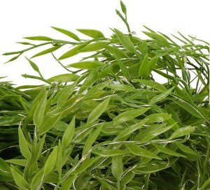 Springos Girlanda led sztuczne liście ruskus dekoracja świetlna UNIWERSALNY 4