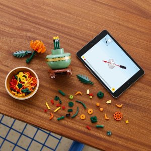 LEGO Icons Chryzantema  (10368) 11