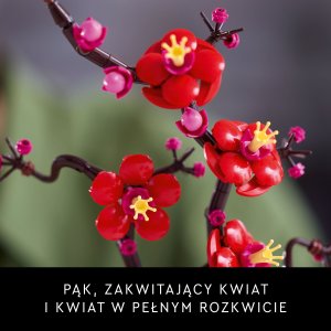 LEGO Icons Kwiat śliwy (10369) 6