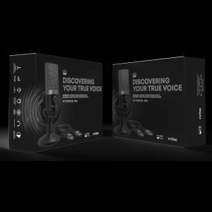 Mikrofon Fifine Komplektas: Kondensatorinis Mikrofonas FIFINE K670 Sidabrinis (Sidabro spalvos) 2