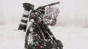 Głowica Manfrotto Głowica Video 504X z płaską bazą 15