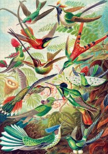 Good Loot Good Loot Puzzle: Ernst Haeckel - Hummingbirds (1000 elementów) 4