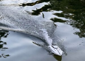 Amewi Amewi RC Boot Arrow Speedboot Li-Po Akku 2200mAh/14+ 4