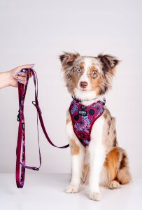 Chaba CHABA SZELKI GUARD COMFORT  STORY ``L``   LAKOTA 2,0/42-56cm 11