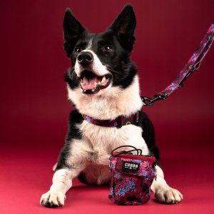 Chaba CHABA SZELKI GUARD COMFORT  STORY ``L``   LAKOTA 2,0/42-56cm 7