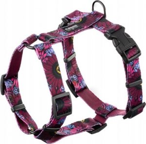 Chaba CHABA SZELKI GUARD STORY ``L`` LAKOTA     2,5/50-57cm 2