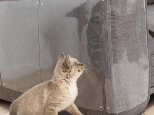 Przyjaciele Duża folia ochronna drapak na meble dla kota 2szt Duża folia ochronna drapak na meble dla kota 2szt 2