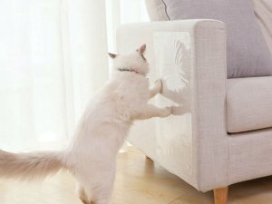Przyjaciele Duża folia ochronna drapak na meble dla kota 2szt Duża folia ochronna drapak na meble dla kota 2szt 3