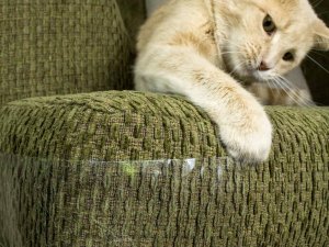 Przyjaciele Duża folia ochronna drapak na meble dla kota 2szt Duża folia ochronna drapak na meble dla kota 2szt 9