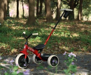 Qplay Qplay Rowerek Trójkołowy Elite Pro Red 12