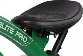 Qplay Qplay Rowerek Trójkołowy Elite Pro Green 9