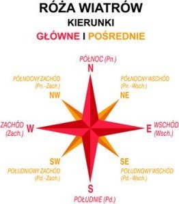 Verona VERONA Tattoo skórzany portfel męski 012M z tatuażem róża wiatrów 012M 5