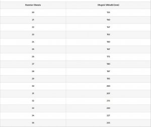 Bejo Dziecięce Buty BADIN MID JR 8