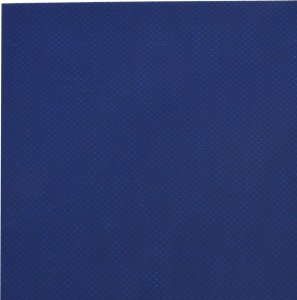 Plandeka vidaXL Plandeka, niebieska, 3x3 m, 600 g/m² 6