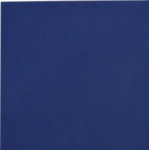 Plandeka vidaXL Plandeka, niebieska, 1,5x6 m, 600 g/m² 6