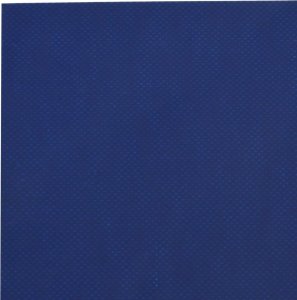 Plandeka vidaXL Plandeka, niebieska, 5x5 m, 600 g/m 5