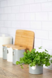 Typhoon Typhoon Otto kompostownik 1401.068 4